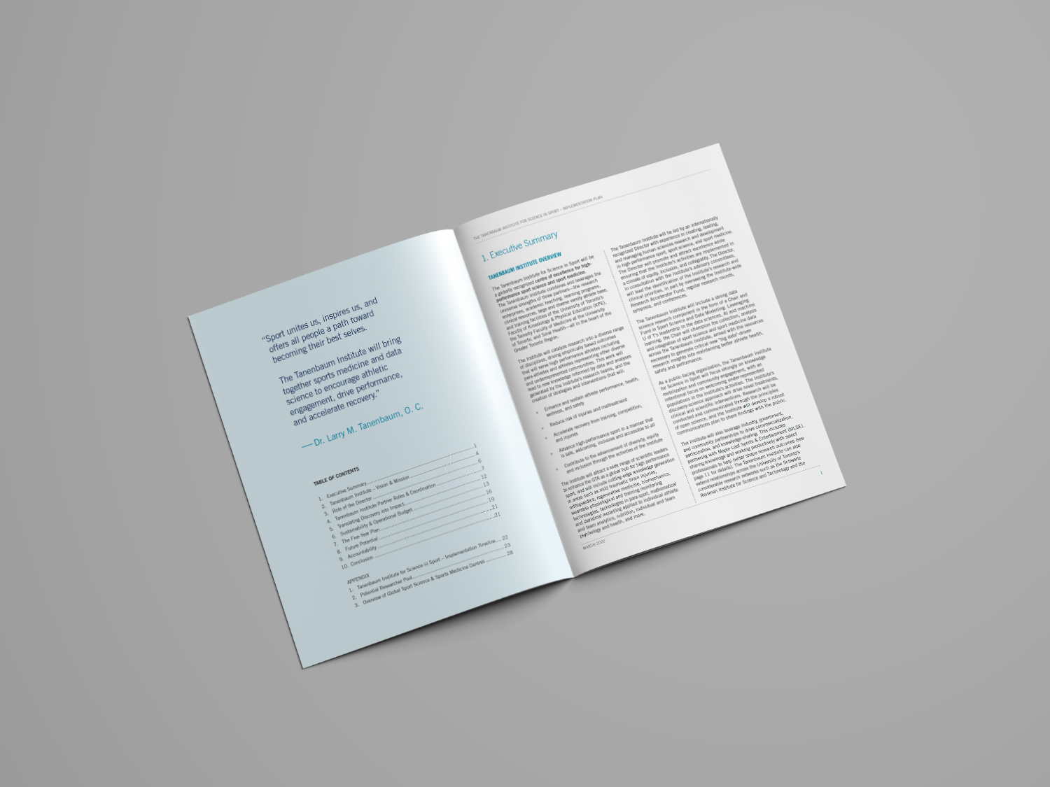 An open report booklet. On the left page of the spread is a quote from Dr. Larry M. Tanenbaum, as well as the table of contents; on the right page is the executive summary text.